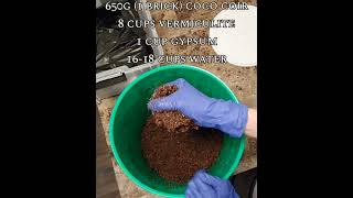 Grow Mushrooms At Home  CVG Coco Coir Vermiculite amp Gypsum [upl. by Vincentia]