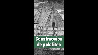 ⭐Construcción de palafitos shorts 📗 aulamedia Historia [upl. by Aitselec730]