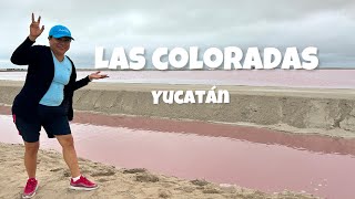 Las coloradas Yucatán en verdad el agua es rosa y muy salda [upl. by Frankel132]