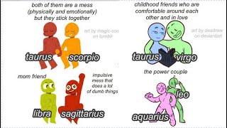 Zodiac Signs Compilation CUTE ships [upl. by Birck288]