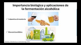 Bioquímica de los Procesos Metabólicos  Fermentaciones  VLEL [upl. by Annairoc]