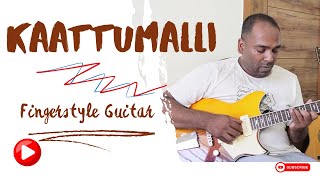 Viduthalai Kaattumalli Guitar fingerstyle Ilaiyaraaja [upl. by Ithaman]