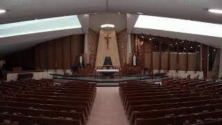 Saint Francis of Assisi 1130 am Mass [upl. by Dolphin]