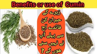 Benefits of cumin seeds zeera ka fayde  cumin seeds 10 health benefits of cumin زیرہ کے فائدے [upl. by Janna]