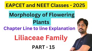 Liliaceae Family  Morphology of Flowering Plants  Part 15 [upl. by Parcel]