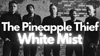 The Pineapple Thief  White Mist  HD Fan Video [upl. by Recha]