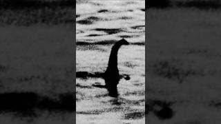 ¿Existe el Monstruo del Lago Ness😱 leyendas historias monstruo monstruos [upl. by Ethbin5]