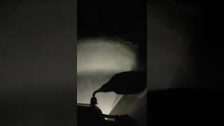 night ride in jungle Jaguar 🐆 Haunted night 🤫🤫🤫 [upl. by Nhguaval]