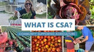 What is Community Supported Agriculture CSA [upl. by Glinys315]