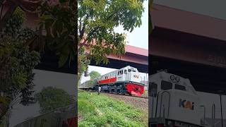 BERDESIS SEPERTI ULAR MANUVER KA KUTOJAYA UTARA CEKIT CEKIT keretaapi railway shorts [upl. by Yesdnyl]