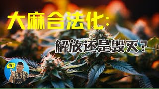 大麻合法化：解放还是毁灭？ 【佳佑讲古仔】 [upl. by Enelaj]