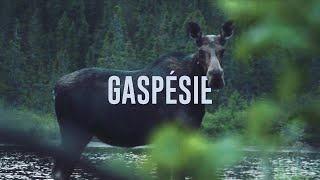 Gaspésie [upl. by Gally]