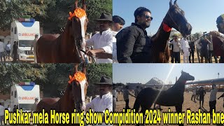 Pushkar mele me hua horse ring show  Pushkar mele me hui ldai  winner Udaipur rajsthan se Paro [upl. by Mcclimans921]