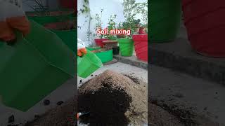 soilmix gardening plants gardeningtips terracegarden beautifulflowersintheworld soil [upl. by Drwde]