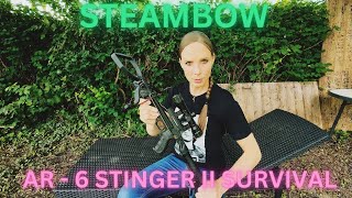 STEAMBOW AR6 Stinger II SURVIVAL  Vorstellung  Schusstest [upl. by Htinnek826]