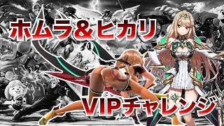 ホムヒカをVIPに！！ スマブラ配信 ＃VIPチャレンジ ホムヒカ ホムラ＆ヒカリ [upl. by French]