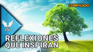 MARATÓN Reflexiones de la Vida  Dios Amor y Espiritualidad en Nuestro Diario Vivir  Soy De Dios [upl. by Sheya]