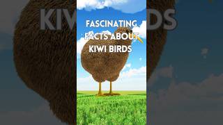 Amazing facts about kiwi birds [upl. by Carolin811]