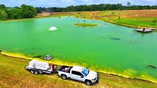 Adding 8000 Fish to the 5 Acre Pond [upl. by Truc]