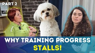 WHY YOUR DOG TRAINING STALLS on The Dog Podcast Ep 4 Part 2 [upl. by Enyedy]