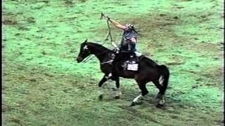 Arabian nationals Freestyle reining [upl. by Oidgime]