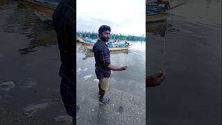 Unbelievable Big Fish Catch with 12 EMPTY Hooks fishing fishingvideos thoondilulagam seafishing [upl. by Naerad]