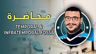 المحاضرة الرابعة و العشرون  Temporal and Infratemporal Fossa [upl. by Etnovahs425]