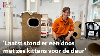 Dierenasiels zitten zo vol dat ze geen nieuwe katten meer toelaten  RTV Utrecht [upl. by Nuli]