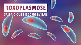 Toxoplasmose  saiba o que é e como evitar  Sua Saúde na Rede [upl. by Dov89]