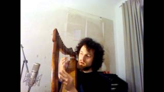 Venus as a Boy by Björk harp cover for Shuffle1 [upl. by Annazor566]