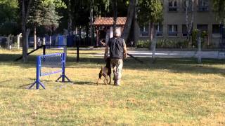 Lipar Land Dobermanns [upl. by Ezarra]