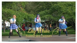 Angelite  LIVE Summer Sunset  Lily White  Manga amp Cosplay Festival 2024 Saturday [upl. by Jo Ann]