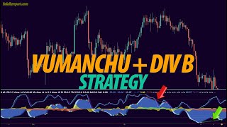 VuManChu Chiper B  Divergences Strategy to Detect Profitable Trade Oportunity Forex and Bitcoin [upl. by Thea]