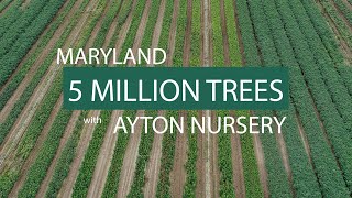 Marylands 5 Million Tree Program  Ayton Nursery Production [upl. by Elyod]