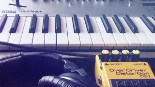 Korg Minilogue 303 ish style Acid Demo [upl. by Ailee]