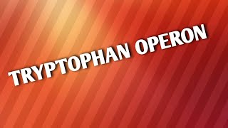 TRYPTOPHAN OPERON [upl. by Anrapa]