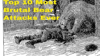 Watch Shocking Bear Stories Top 10 Most Brutal Bear Attacks Safety Tips [upl. by Nilyarg558]