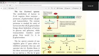 The Lac Operon The lactose operon NCERT NEET Exam  Biology Tamil [upl. by Yeslrahc874]