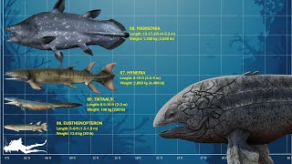 The 10 Largest Prehistoric Fishes [upl. by Sille424]