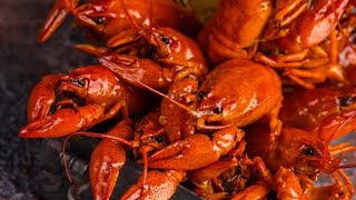 What Are Crawfish And How Do You Eat Them [upl. by Hewett]