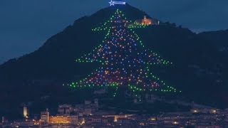 Torna lAlbero più grande del mondo [upl. by Burnard]