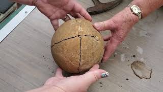 Breaking open Grandmas sandstone rock from 45 years ago FOSSIL INSIDE [upl. by Anivlis191]