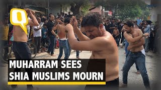 Watch the CenturiesOld Mourning Practice of Shia During Muharram  The Quint [upl. by Gettings909]