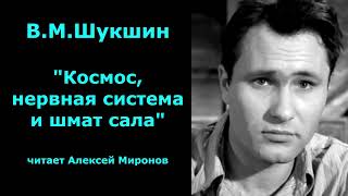 Василий Шукшин quotКосмос нервная система и шмат салаquot [upl. by Patrizia]