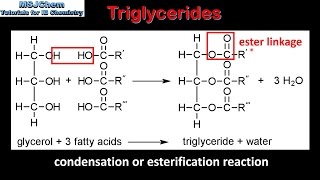 B3 Triglycerides SL [upl. by Aihtennek499]