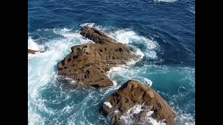 🔴Pescando Sargos a Boya en La Rompiente de la costa Guipuzcoana [upl. by Ahsain]