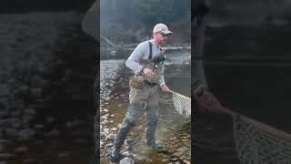 Bitterroot Cut flyfishing troutfishing trout [upl. by Llohcin621]