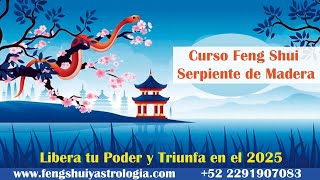 CURSO FENG SHUI SERPIENTE DE MADERA 2025 [upl. by Esilana]