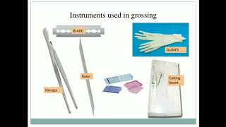 1 Introduction to Histopathology MLTLectures [upl. by Misty650]