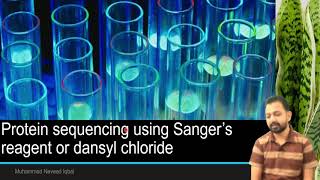 Sangers Method of Protein Sequencing [upl. by Akimyt833]